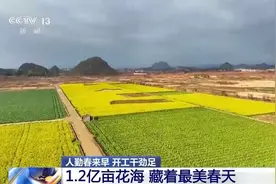 央媒看四川丨油菜花+火锅，解锁花海背后藏着的消费新场景图片