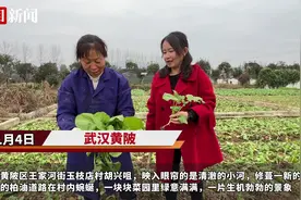 天下陂商⑯丨她在不解声中回乡发展农业，带动乡亲家门口走上致富“稻”路图片