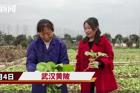 天下陂商⑯丨她在不解声中回乡发展农业，带动乡亲家门口走上致富“稻”路图片