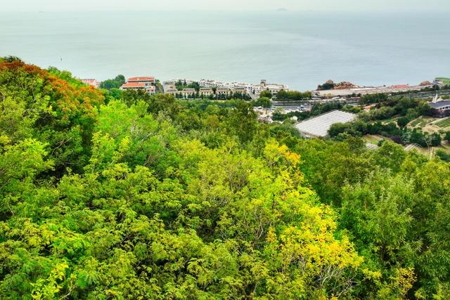 山海一画秋意浓