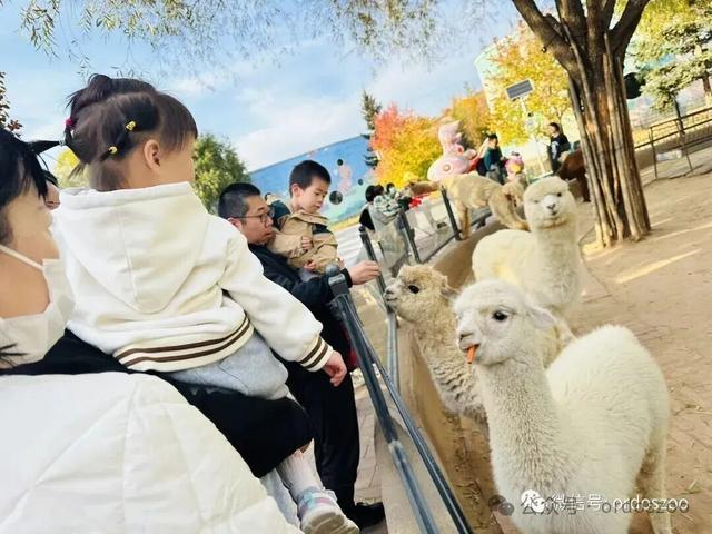 今日开放自驾游，这些人免门票→