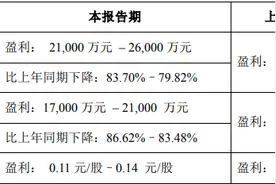六氟磷酸锂价格还在探底，天赐材料上半年净利预降约八成图片
