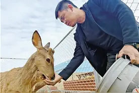 致富有“鹿”图片