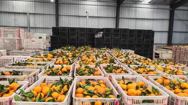 看，丹江口水库中央这幅“水墨长卷”！