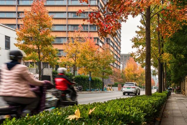 秋冬限定的普陀，美到让人流连忘返，你还不来打卡吗？