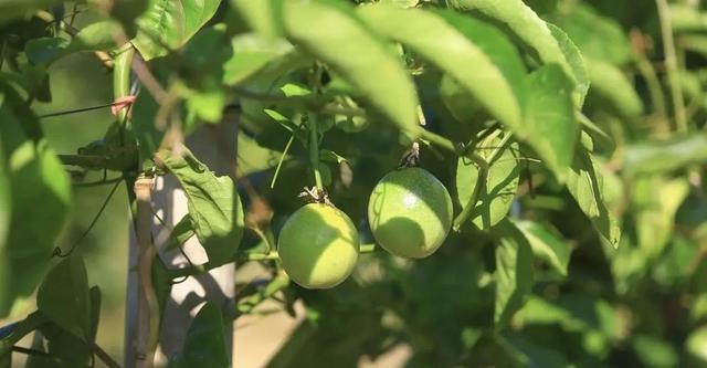 周末·赏秋丨一眼心动！你可能没想到的赏秋好去处