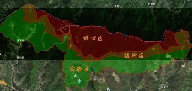 杭州一地发布最严禁令：禁止任何形式穿越