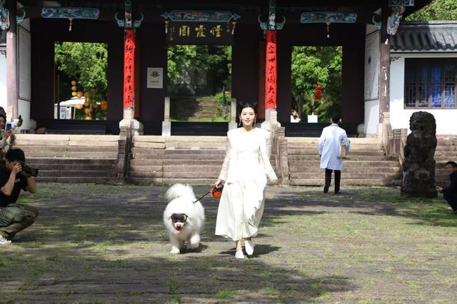 牢记嘱托 感恩奋进——安徽往前赶｜池州：文旅业态创新融合 绘就“诗与远方”新画卷