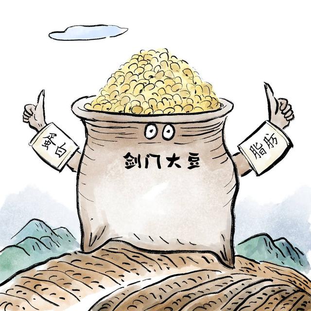 剑门豆腐丨四川安逸如画