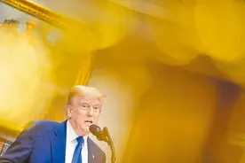 哈佛大学被禁收国际生，台教授示警：美国恐要衰败，特朗普也将自伤图片