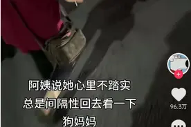 深圳街头狗妈妈难产，阿姨扔下烧烤摊……百万网友怒赞！图片