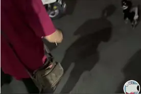 深圳街头狗妈妈难产，阿姨扔下烧烤摊……百万网友怒赞！图片