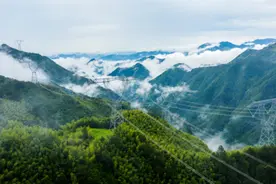 福建“来电”了 今年入浙闽电将超165亿度图片