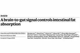 瑞金医院内分泌团队在Nature发表重磅论文：大脑能控制肠道吸油？中药葛根素或成减肥“黑科技”图片