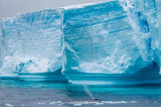南极旅游价格大跳水“从20万跌至5万”引热议