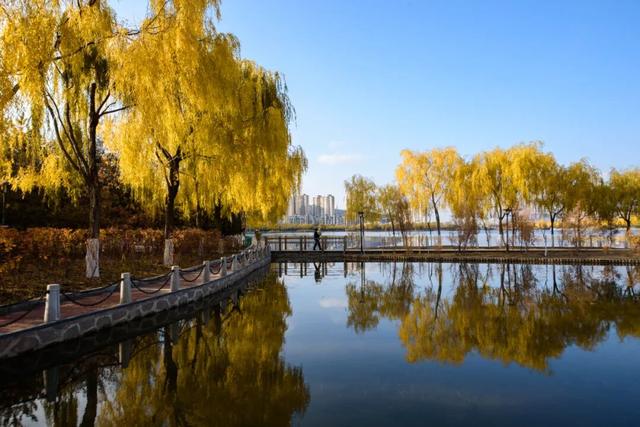 图说定西 | 定西湖畔风景如画