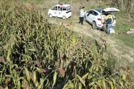 河南固始有执法人员带人偷高粱？当地回应：涉事人员为行政执法大队人员，正调查图片