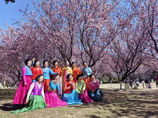 免费！人少！无锡硕放机场旁的“空港花田”，承包整个春天的温柔