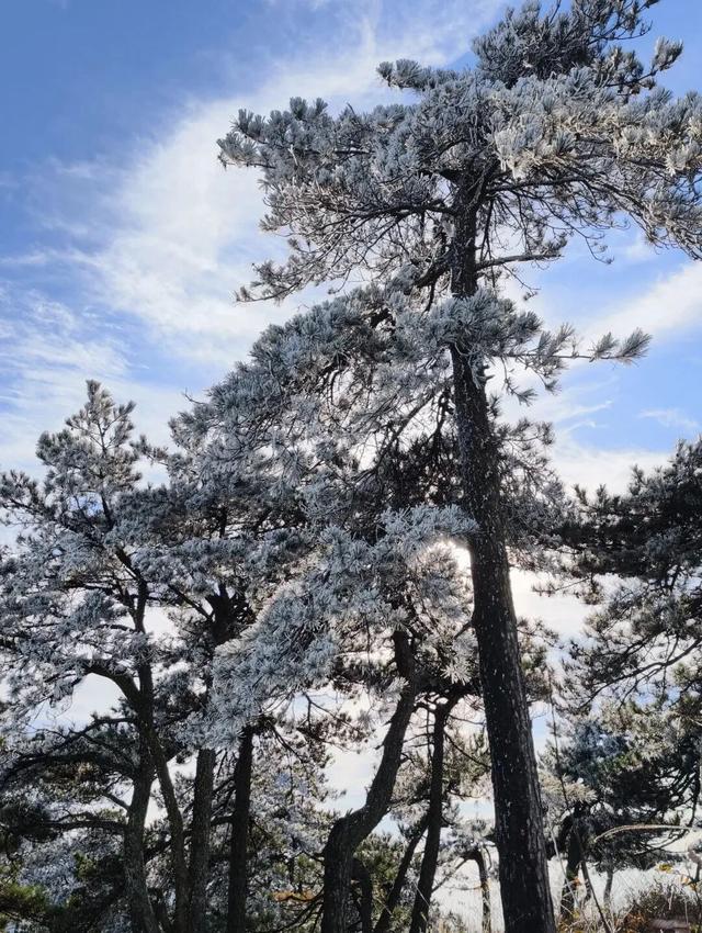 如画江西的冬日惊喜，是什么样子的？