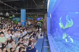 临沂海洋世界主题公园迎来客流高峰图片