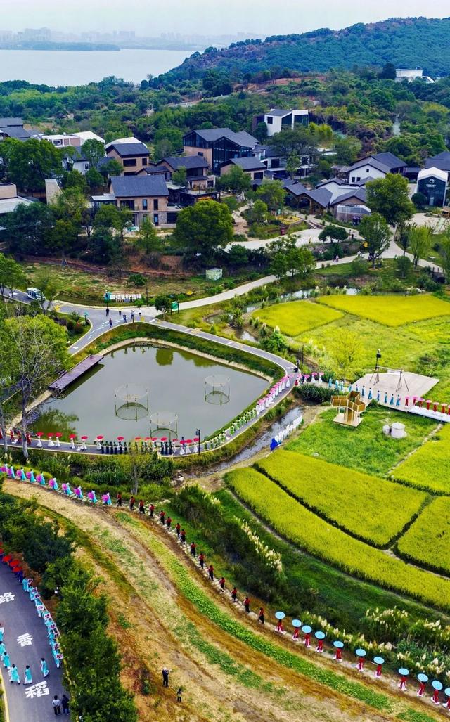 国庆中秋，来岳阳就对了！