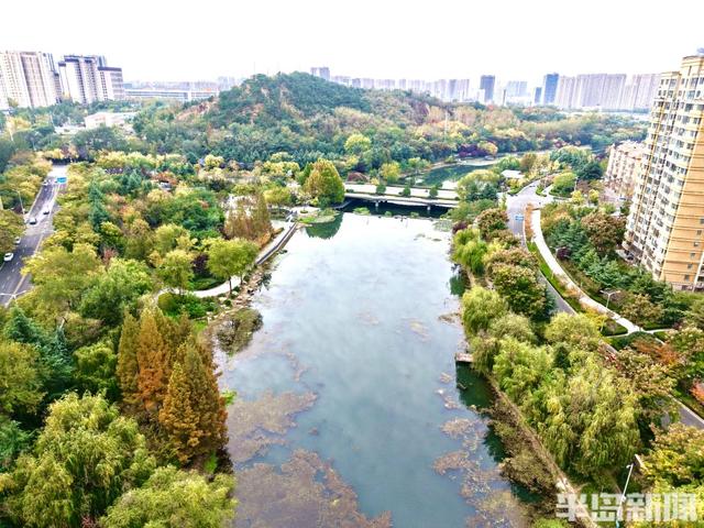 秋染李村河！五彩斑斓绘就城市生态画卷