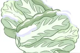 锦江故事 | 延续时间最长！这个市集苏轼也爱逛图片