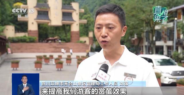 真相来了丨网传萤火虫濒临灭绝 是真的吗？