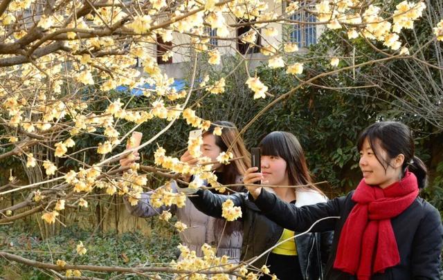 “冬游保康”，藏着整个冬天的浪漫与温暖