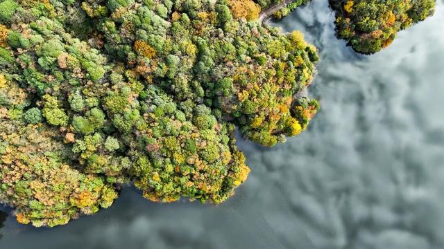 北纬28°的彩色秘境 贵州绥阳宽阔水国家级自然保护区初冬层林尽染