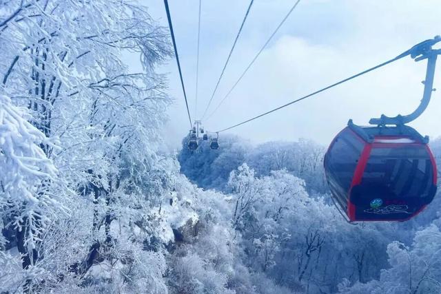 洛阳的第一场雪，来了！
