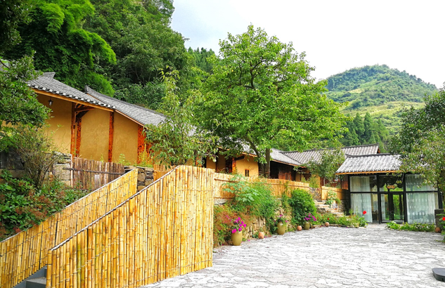 一花黄 多业兴！泸州白沙场镇走出农文旅融合新路