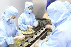 “小草药”种出“千金方”图片