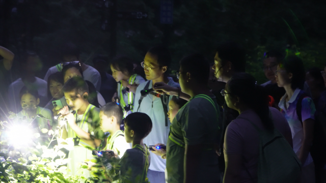 “香山奇妙夜”有这些发现