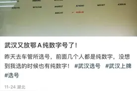 鄂A纯数字号牌大量发放？武汉公安交管部门回应图片