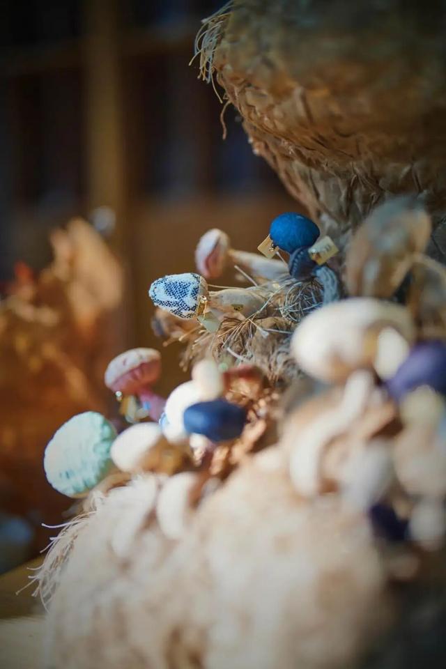 来东城这个胡同小院，邂逅蘑菇精灵的童话秘境——