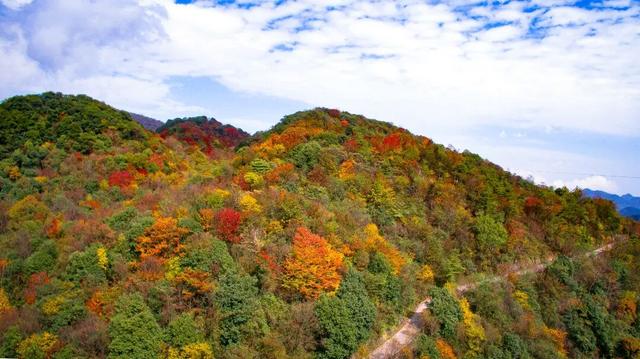 青睐绵阳 ‖ 冲！九皇山打卡领奖牌倒计时不足1个月，彩林秘境同步来袭，赶紧冲！