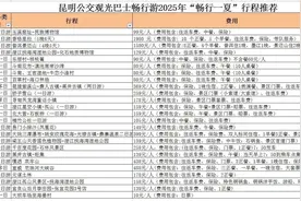 昆明出发！25条夏日观光巴士畅行游线路来了图片