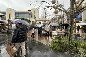 迪士尼买新春福袋太火爆！有人自驾10小时赶来，有人特地挑雨天抢购！图片