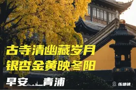 早安青浦｜古寺清幽藏岁月，银杏金黄映冬阳图片
