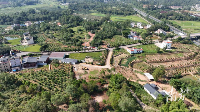 广东厚植绿色家底，释放生态红利