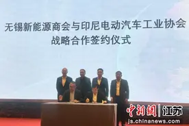 锡品丝路行—印尼新能源汽车行业专场活动在无锡举行图片