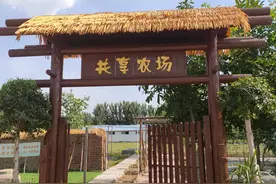 “云种植”“云养殖” 济南槐荫这个村激活“数字+农业”动力新引擎图片