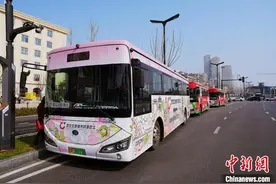 武汉文旅城市环游巴士樱花专线启动图片