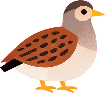 IP市集、鹧鸪宴、乡村寻味！来赶一场最有味的“圩”