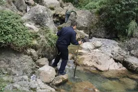 惊心动魄！3岁女童被野猴抓走，民警山林中大吼找寻成功救出女童图片