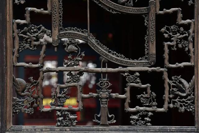 解锁第一个秋假！这条叙永遛娃路线，请查收！