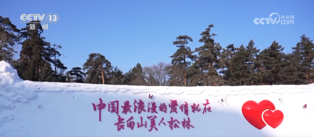爱情森林、冰雪研学……解锁“冰雪+”新场景 冬季文旅消费焕发新活力