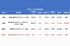 杭州最贵地价诞生！8.8万元/㎡！图片