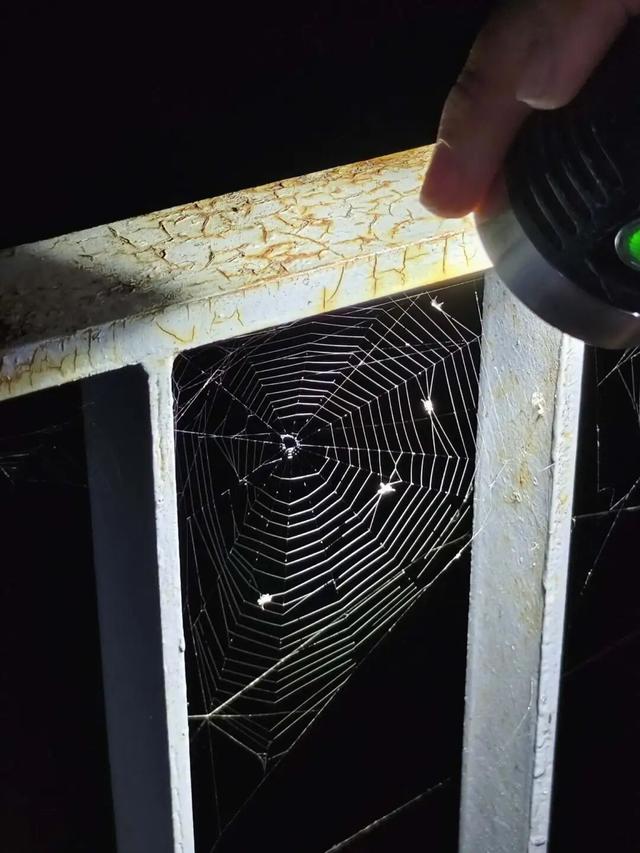 夜晚，我们在公园里“找宝藏”